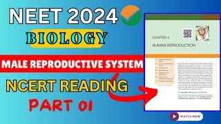 Male Reproductive System Class 12 Biology for Neet 2024 ✅😌  360360😍  neet neet2024 biology [upl. by Neibart657]