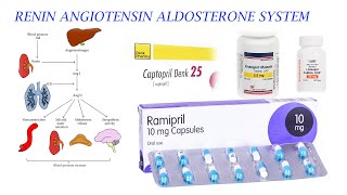 ACE INHIBITORS AND RAAS MECHANISM [upl. by Atsed]