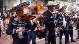 Cool Mariachi Band Performance in Dublin [upl. by Carolan]