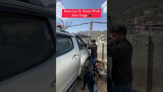 Best Car To Travel With Your Dogs shorts rottweiler dogs youtubeshorts namitaology trending [upl. by Gonick896]