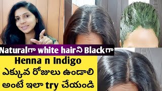 Hair Damage కాకుండా white hairని blackగాHenna n Indigo ఎక్కువ రోజులు ఉండాలి అంటే ఇలా try చేయండి [upl. by Sheeree]