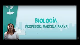 Biología  Clase Nº7  Enzimas y metabolismo celular [upl. by Namolos78]