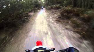 CRF250L vs CRF250R [upl. by Forester]