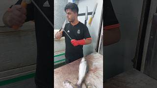 Knife sharpening and professional trout cutting [upl. by Ayrotal]