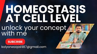 Homeostasis at cell level Ch15Lecture01Introduction to homeostasis negative and positive [upl. by Leeanne]