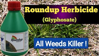 How to Kill Weeds  Roundup Herbicide Bayer  Glyphosate 41 SL [upl. by Natloz]