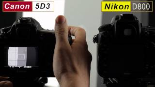 Nikon D800 Greenish LCD Tint Due to White Balance Issue [upl. by Thurlow]