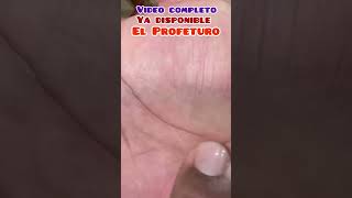 Significado de las líneas de la mano 🤚shortsdeyoutube lecturademanos [upl. by Marsha]