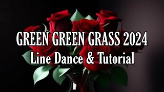 GREEN GREEN GRASS 2024  Line Dance  Dance amp Tutorial [upl. by Garrik]