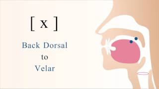 x  unvoiced dorsal velar non sibilant fricative [upl. by Garner]