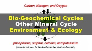 What is Phosphorus Sulphur Calcium Potassium Cycles  Environment amp Ecology [upl. by Oneida453]