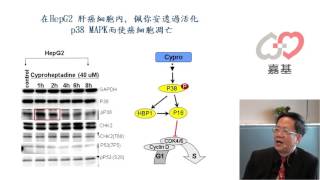 肝癌怎麼辦推薦您佩你安Cyproheptadine [upl. by Bradshaw]