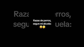 Razas de perros según mi abuela 🤶¿Y tú conoces algúna más perros [upl. by Ihn]