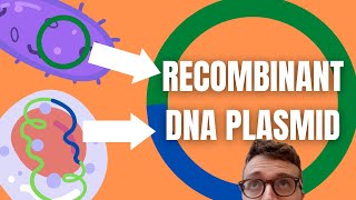 Recombinant DNA Technology Explained For Beginners [upl. by Mesics]