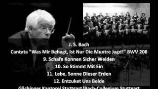 J S Bach  Secular Cantata quotWas Mir Behagt Ist Nur Die Muntre Jagdquot BWV 208 34 [upl. by Kennan]