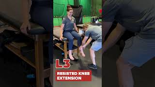 Myotome Testing Under 30 Seconds ⏱️ Lower Extremity [upl. by Lianne]