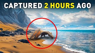 Top 10 Extinct Animals Scientists Could Bring Back to Life  Wildlife Documentary [upl. by Reklaw109]