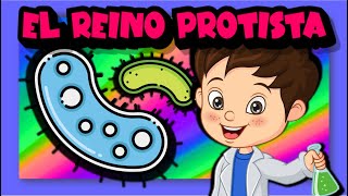 El reino protista 🦠🧫🌿 [upl. by Walli]