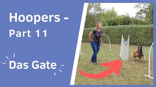 Hoopers  Part 11 I Infos und Hinweise zum Gate inkl Übungen I NADAC Hoopers Agility [upl. by Otiv432]