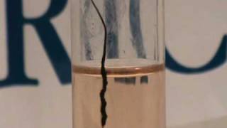 Carbon nanotube fibre dissolving in chlorosulfonic acid [upl. by Aniz]