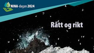 Rått og rikt  høydepunkter fra NINA 2024 [upl. by Lunnete234]