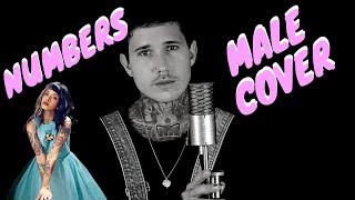 Numbers  Melanie Martinez ROCK MALE COVER [upl. by Ylrak]