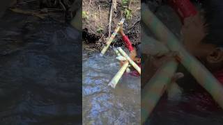 Survival Skills SIMPLE and USEFUL bushcraft camping outdoors [upl. by Paradies756]