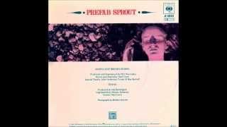 Diana  Prefab Sprout original version from 1984 single [upl. by Ainwat695]