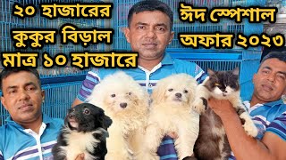 Lhasa ApsoDog price in 2023Persian cat price in 2023Katabon animal market in bangladesh gsd [upl. by Anaitsirhc350]