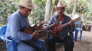 SIQUISIRI llanero Liche Oseguera y Mario Rodríguez Las Pitas Ver [upl. by Jann356]