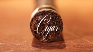 The Cigar An Introduction [upl. by Levison629]