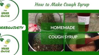 How to Make a Herbal Cough SyrupThyme Cough Syrup [upl. by Sherj]