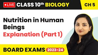 Nutrition in Human Beings  Explanation Part 1  Class 10 Biology Chapter 5 LIVE 202324 [upl. by Amelita]