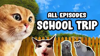 SCHOOL TRIP CAT MEME COMPILATION [upl. by Elleynod368]