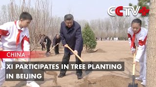 Xi Plants Trees in Beijing Urging Nationwide Afforestation Efforts for Beautiful China [upl. by Annekahs97]