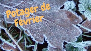 🌷 FEVRIER à quoi ressemble le potager [upl. by Nohsed]