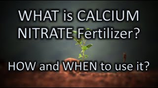 WHAT is CALCIUM NITRATE Fertilizer  HOW amp WHEN to use  Increase PLANT Strength  Best Fertilizer [upl. by Maisie]