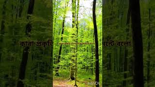 Milne hai mughse aayi song shorts youtubeshorts nature [upl. by Ahsinat]