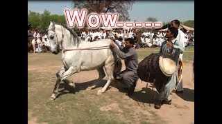 Best horse dance in pakistan No32 [upl. by Sumaes]