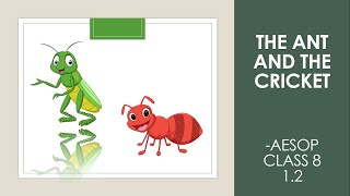 The ant and the cricket summary class 8 english [upl. by Proudlove806]