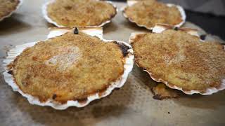 Coquilles de barbes de SaintJacques à la bretonne  Recette AntiGaspi [upl. by Yrreg]