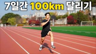 7일 동안 100km를 달리면 생기는 일 [upl. by Ami]