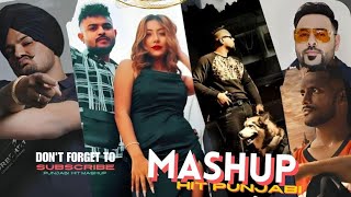 Ninja All Songs  Latest Punjabi Songs Ninja [upl. by Margy]