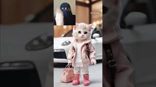 Beautiful cat shorts trendingshorts cats reactionshorts funnyshorts [upl. by Greyso]