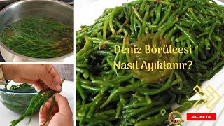 DENİZ BÖRÜLCESİ KOLAY VE PRATİK ŞEKİLDE NASIL AYIKLANIR  DENİZ BÖRÜLCESİ NASIL TEMİZLENİR [upl. by Ardnohsal175]