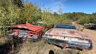 HUGE Classic Car Junk Yard Exploration Baxters [upl. by Silvio]