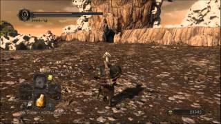 Dark Souls 2  Farming quotinfinitequot ossa di drago pietrificato ITA  Petrified dragon bones farming [upl. by Anaicilef]