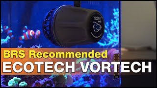 Worth it The EcoTech VorTech MP10  MP40 and MP60 review  It’s BRS recommended [upl. by Atinrehs]