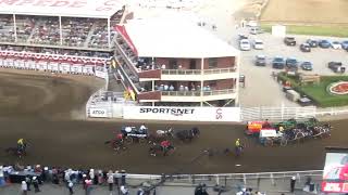 Chuckwagon races Calgary Stampede 2024 Last Day [upl. by Nyrad]