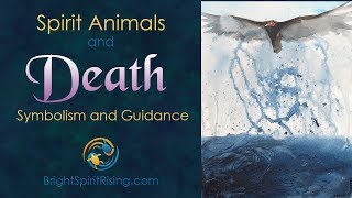 Death Dying and Spirit Animals  what they can teach us symbolism and guidance [upl. by Nally]